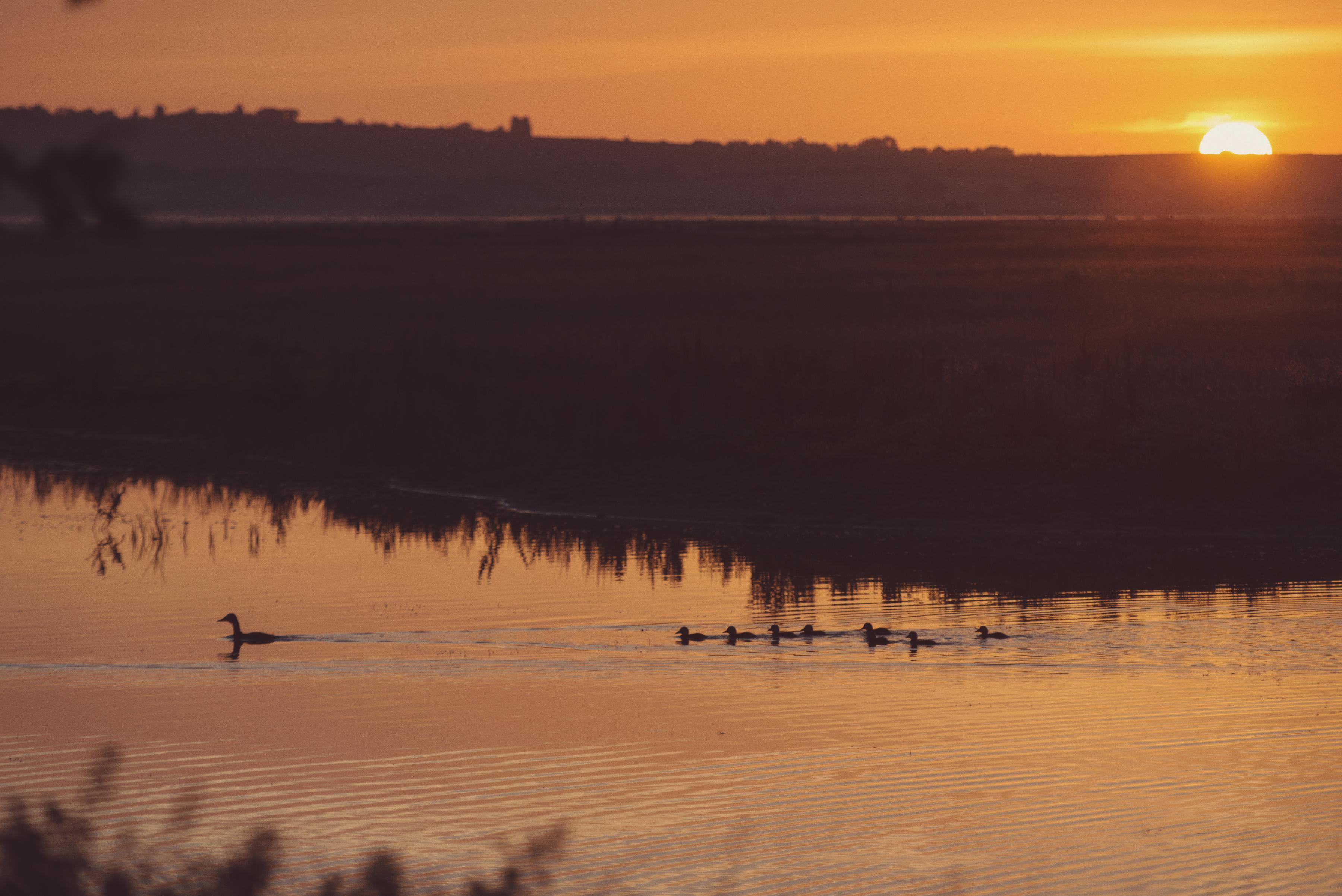 Sunrises at Elmley Nature Reserve, the perfect cabin stay