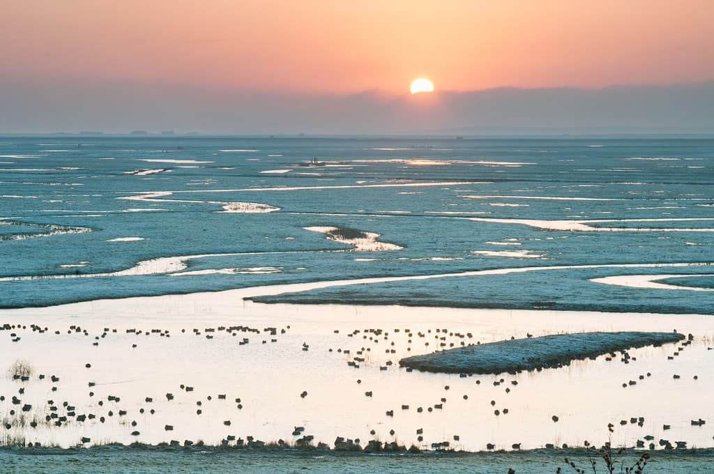 Winter frosty sunrise at Elmley